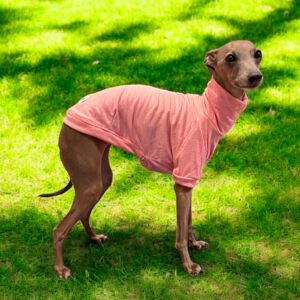 Camisetas para Galgos