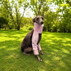 Blusas para Galgos