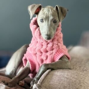 Coletes para Galgos