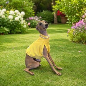 Cropped para Galgos