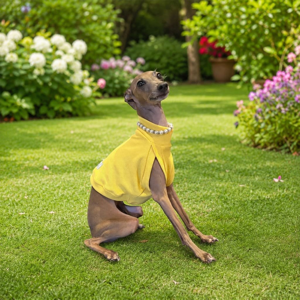 Cropped em malha canelada amarelo