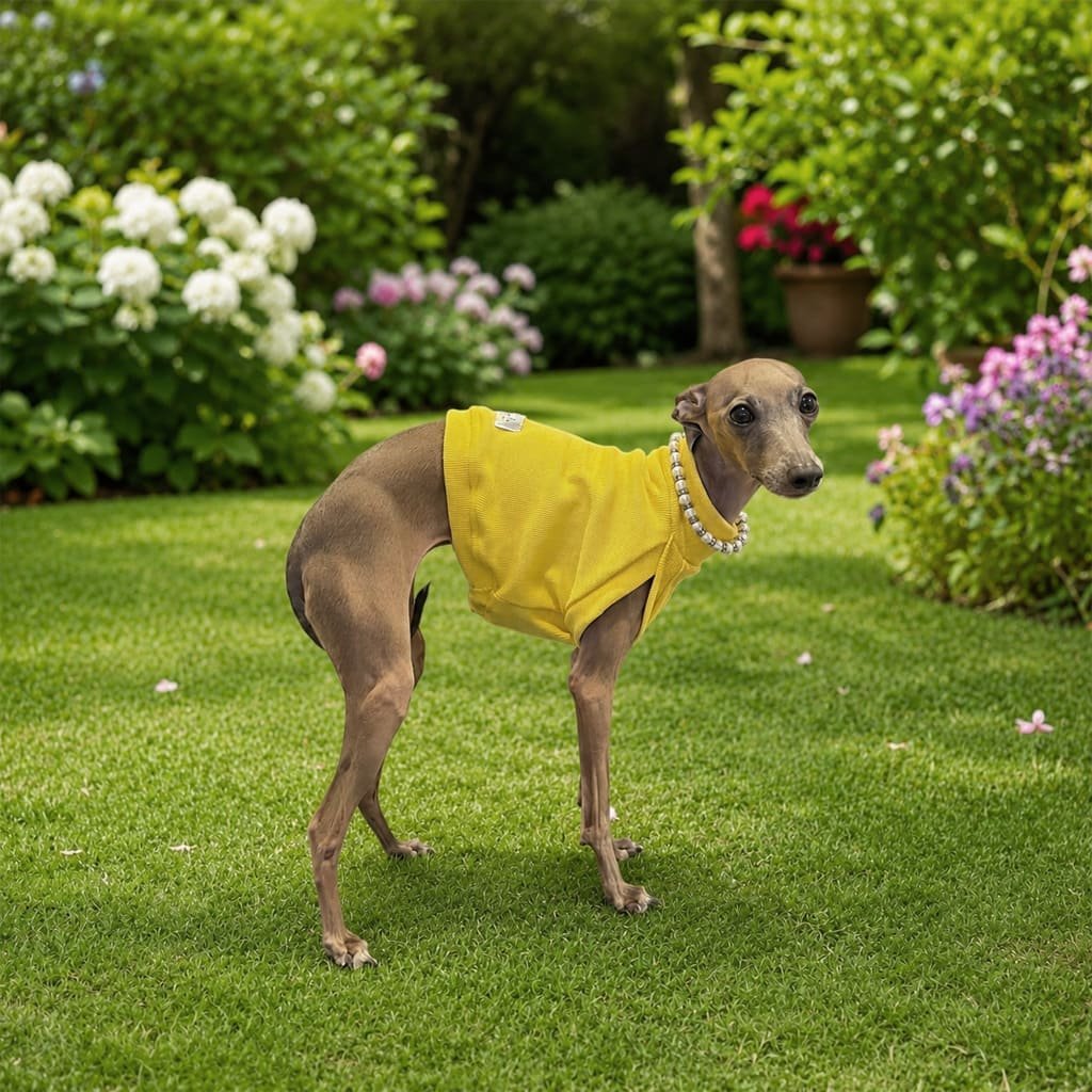 Cropped em malha canelada amarelo - Imagem 2