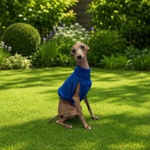 Cropped em malha canelada azul bic