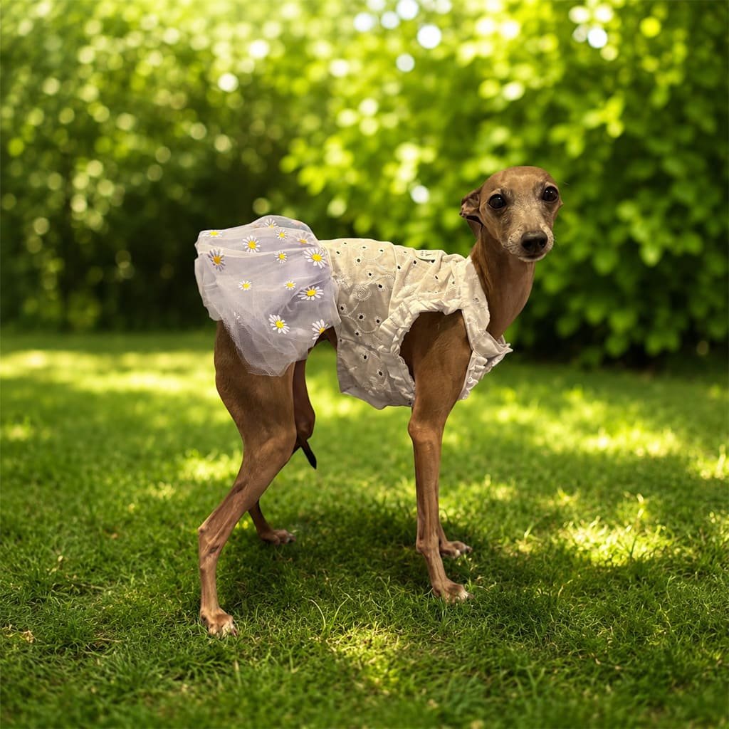 Vestidinho em laise com tule margaridas lavanda - Imagem 3