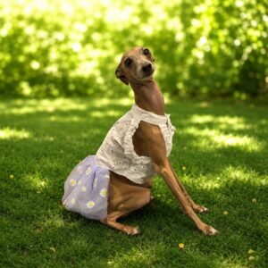 Vestidinho em laise com tule margaridas lavanda