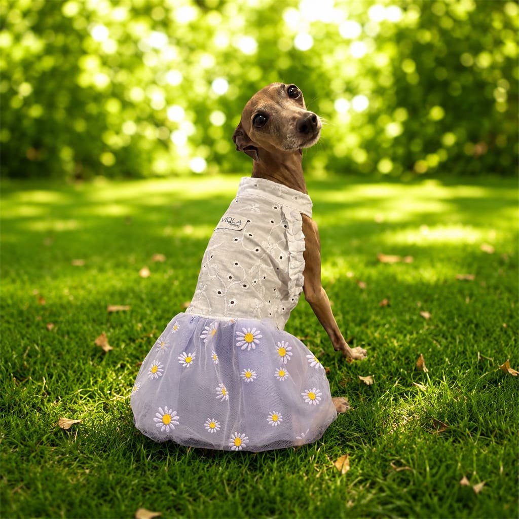 Vestidinho em laise com tule margaridas lavanda - Imagem 2