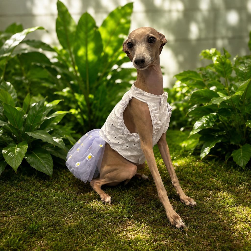 Vestidinho em laise com tule margaridas lavanda - Imagem 4